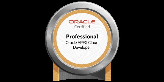 We are Oracle APEX 2023 Certified Professional Specialists
